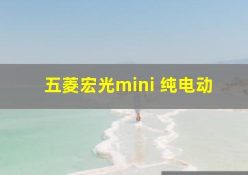 五菱宏光mini 纯电动